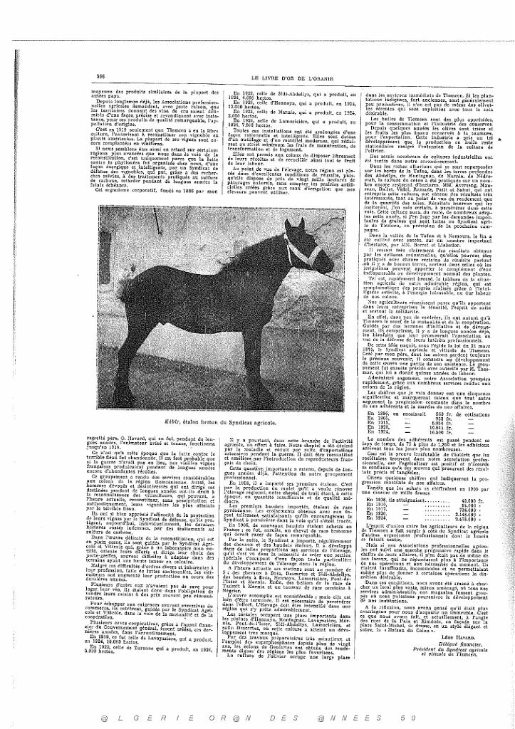 LIVRE D OR DE L ORANIE_000105.jpg